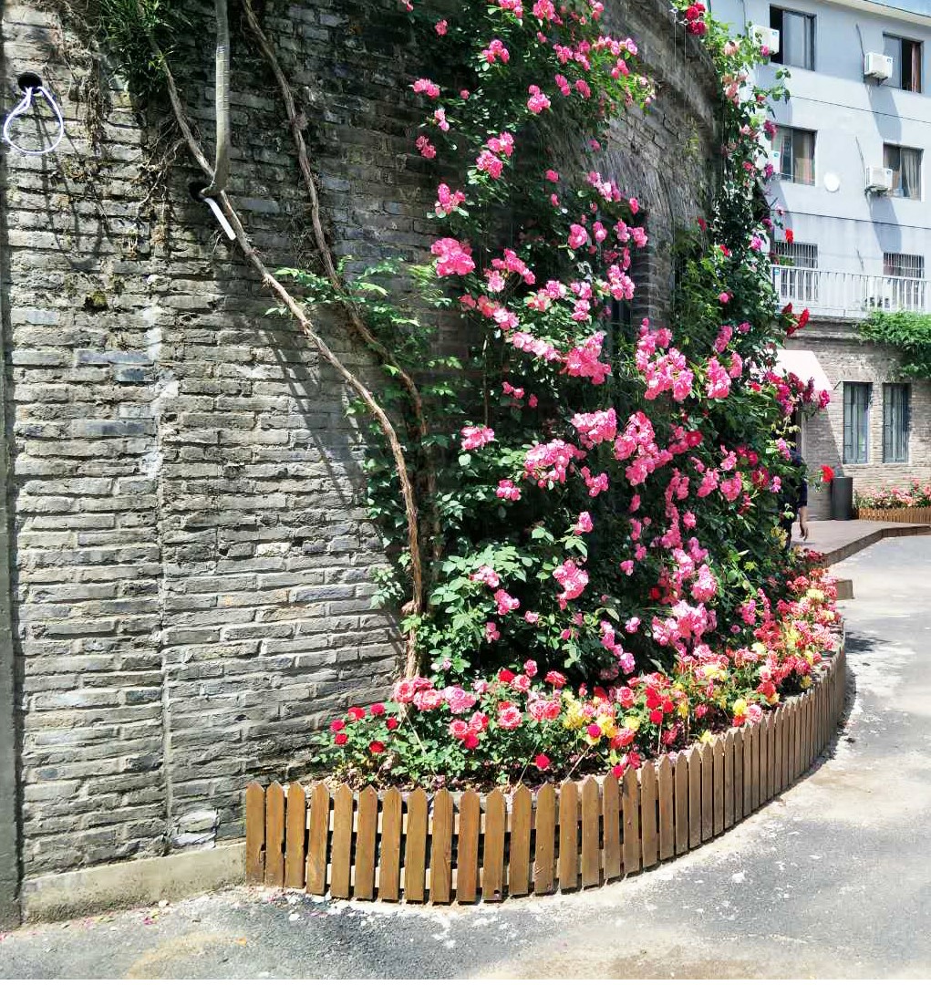 微信图片_201805099.jpg